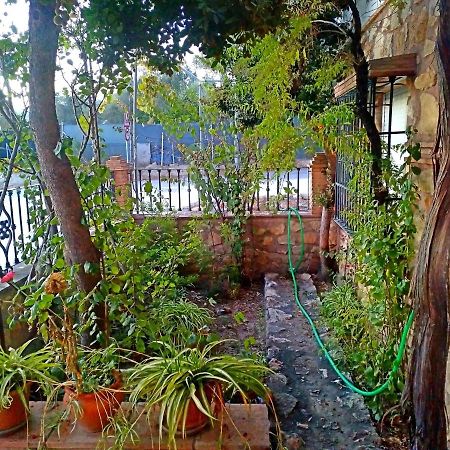 Melegis Casa Rural Zarco Miralles מראה חיצוני תמונה